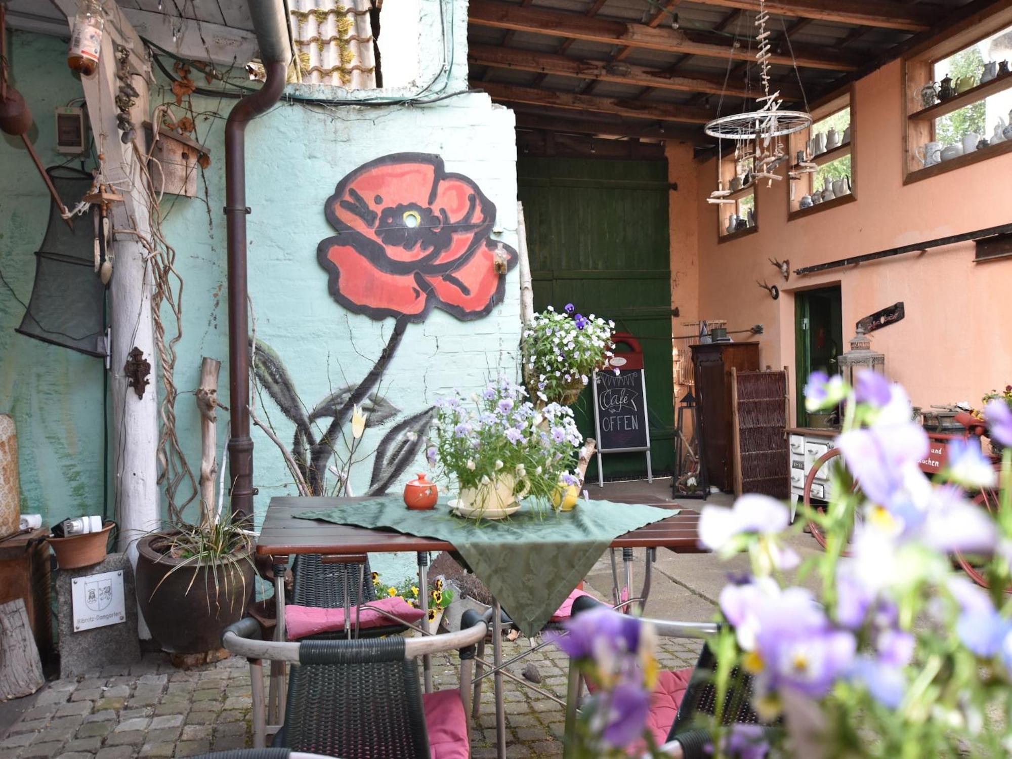 Beautiful Apartment In Damgarten With Garden Ribnitz-Damgarten Εξωτερικό φωτογραφία